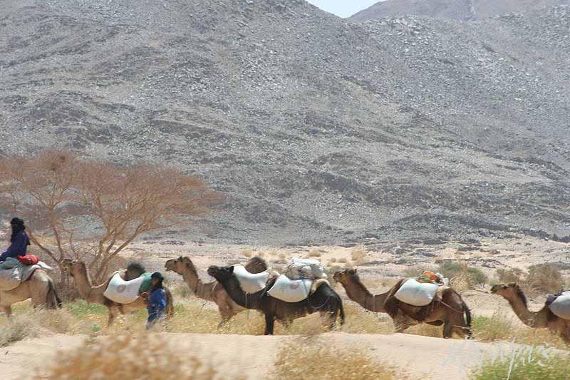 Mud Maps Africa Blue Hills Air Mtns 3235